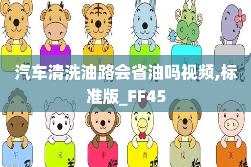 汽车清洗油路会省油吗视频,标准版_FF45