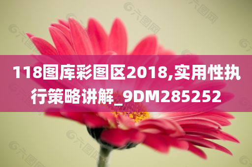 118图库彩图区2018,实用性执行策略讲解_9DM285252