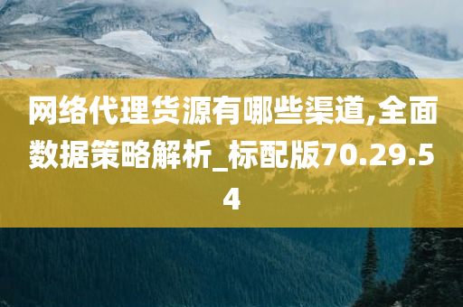 网络代理货源有哪些渠道,全面数据策略解析_标配版70.29.54