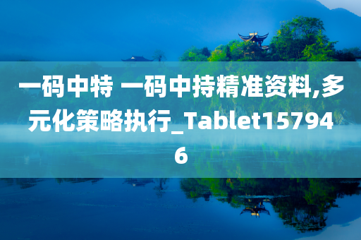 一码中特 一码中持精准资料,多元化策略执行_Tablet157946