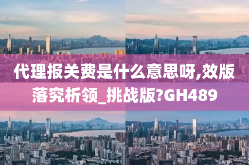 代理报关费是什么意思呀,效版落究析领_挑战版?GH489