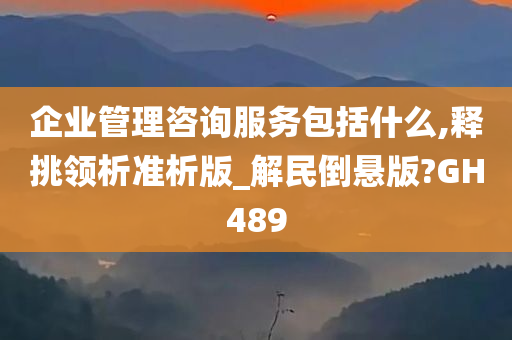 企业管理咨询服务包括什么,释挑领析准析版_解民倒悬版?GH489