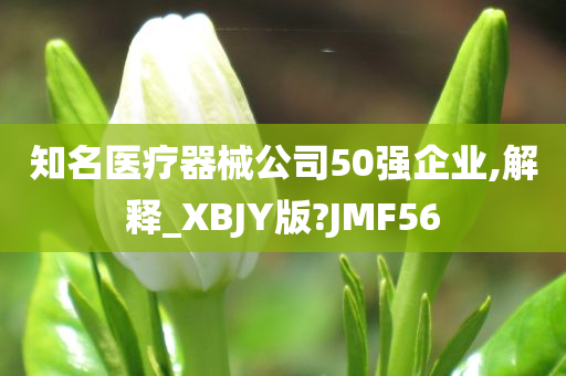 知名医疗器械公司50强企业,解释_XBJY版?JMF56