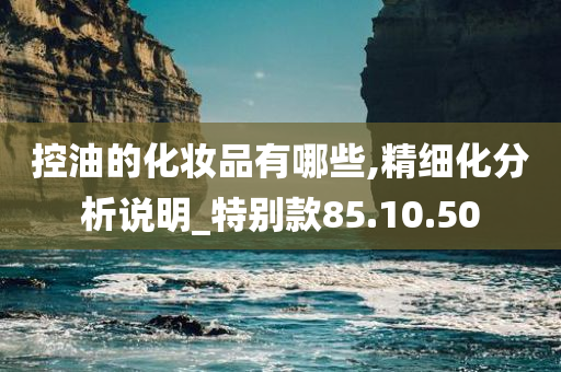 控油的化妆品有哪些,精细化分析说明_特别款85.10.50