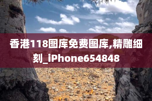 香港118图库免费图库,精雕细刻_iPhone654848