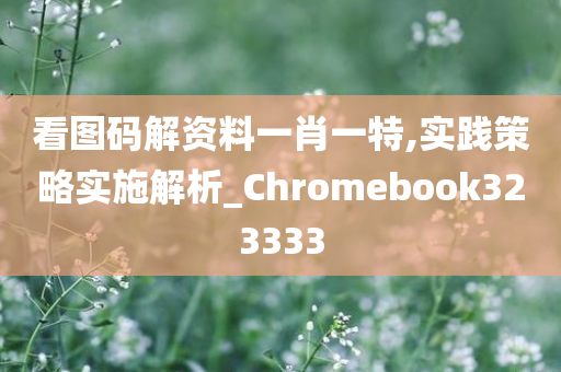 看图码解资料一肖一特,实践策略实施解析_Chromebook323333