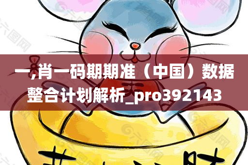 一,肖一码期期准（中国）数据整合计划解析_pro392143