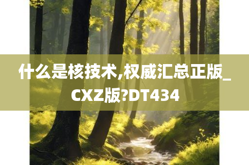 什么是核技术,权威汇总正版_CXZ版?DT434