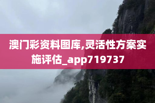 澳门彩资料图库,灵活性方案实施评估_app719737