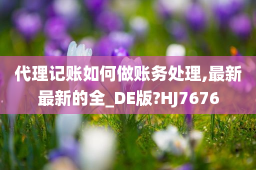 代理记账如何做账务处理,最新最新的全_DE版?HJ7676