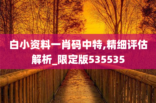 白小资料一肖码中特,精细评估解析_限定版535535