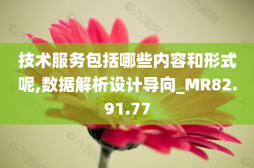 技术服务包括哪些内容和形式呢,数据解析设计导向_MR82.91.77