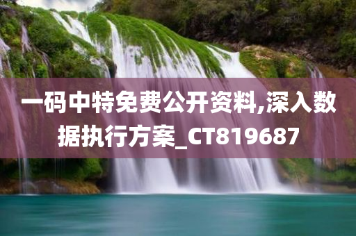 一码中特免费公开资料,深入数据执行方案_CT819687