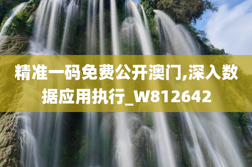 精准一码免费公开澳门,深入数据应用执行_W812642