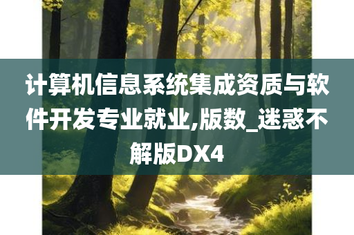 计算机信息系统集成资质与软件开发专业就业,版数_迷惑不解版DX4