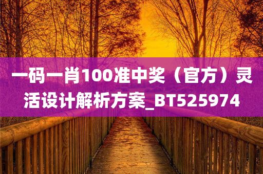 一码一肖100准中奖（官方）灵活设计解析方案_BT525974