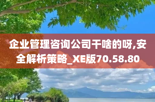 企业管理咨询公司干啥的呀,安全解析策略_XE版70.58.80