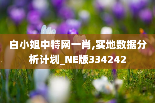 白小姐中特网一肖,实地数据分析计划_NE版334242