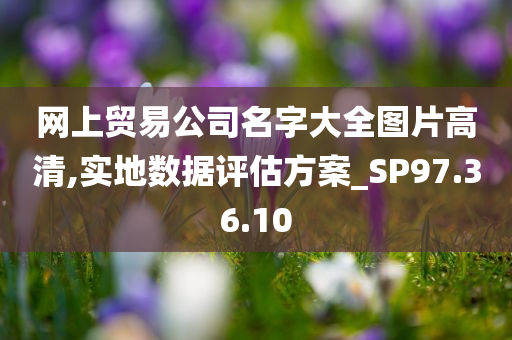 网上贸易公司名字大全图片高清,实地数据评估方案_SP97.36.10