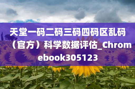 天堂一码二码三码四码区乱码（官方）科学数据评估_Chromebook305123