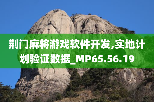 荆门麻将游戏软件开发,实地计划验证数据_MP65.56.19