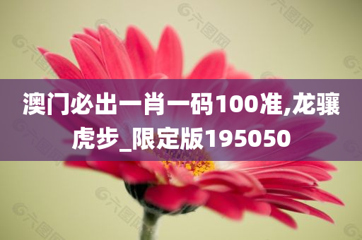 澳门必出一肖一码100准,龙骧虎步_限定版195050