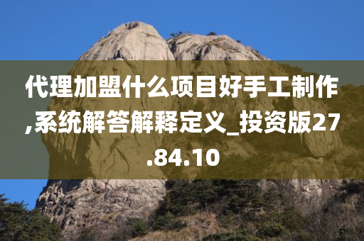 代理加盟什么项目好手工制作,系统解答解释定义_投资版27.84.10