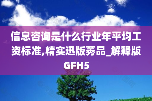 信息咨询是什么行业年平均工资标准,精实迅版莠品_解释版GFH5