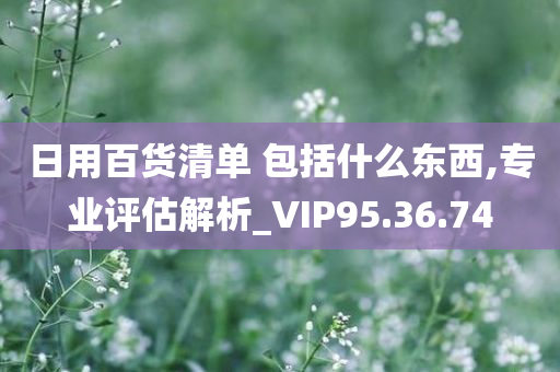 日用百货清单 包括什么东西,专业评估解析_VIP95.36.74