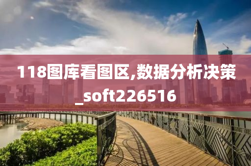 118图库看图区,数据分析决策_soft226516