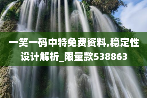 一笑一码中特免费资料,稳定性设计解析_限量款538863