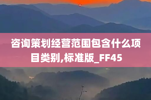 咨询策划经营范围包含什么项目类别,标准版_FF45