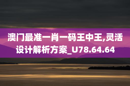 澳门最准一肖一码王中王,灵活设计解析方案_U78.64.64