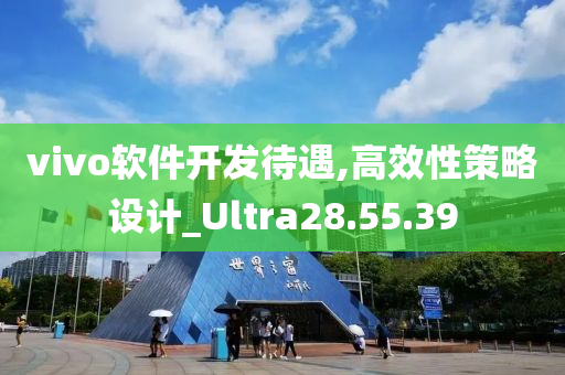 vivo软件开发待遇,高效性策略设计_Ultra28.55.39