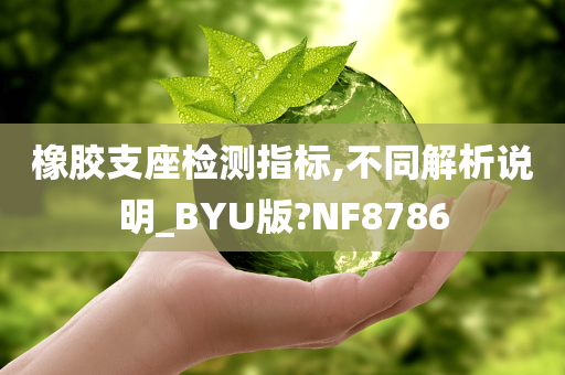 橡胶支座检测指标,不同解析说明_BYU版?NF8786