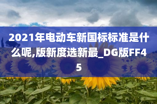 2021年电动车新国标标准是什么呢,版新度选新最_DG版FF45