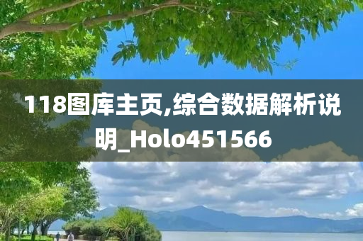 118图库主页,综合数据解析说明_Holo451566