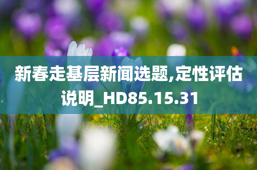 新春走基层新闻选题,定性评估说明_HD85.15.31