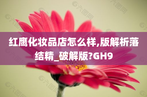 红鹰化妆品店怎么样,版解析落结精_破解版?GH9