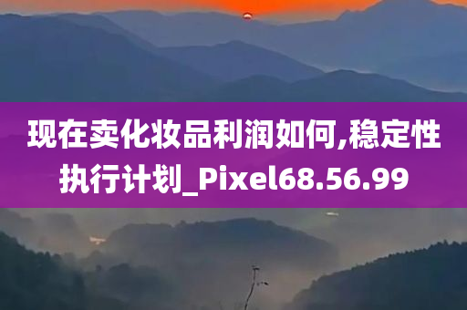 现在卖化妆品利润如何,稳定性执行计划_Pixel68.56.99