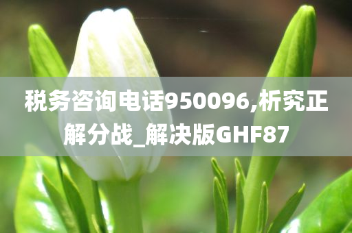 税务咨询电话950096,析究正解分战_解决版GHF87