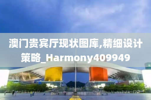 澳门贵宾厅现状图库,精细设计策略_Harmony409949