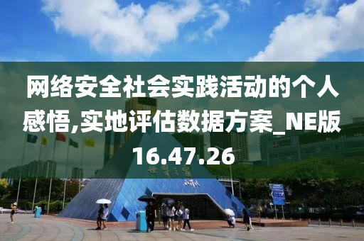 网络安全社会实践活动的个人感悟,实地评估数据方案_NE版16.47.26