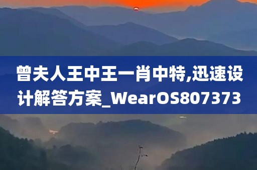 曾夫人王中王一肖中特,迅速设计解答方案_WearOS807373