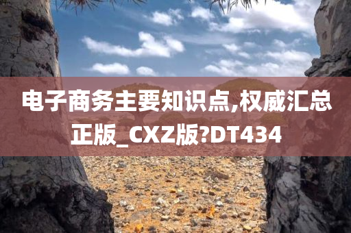 电子商务主要知识点,权威汇总正版_CXZ版?DT434