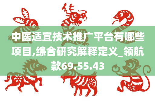 中医适宜技术推广平台有哪些项目,综合研究解释定义_领航款69.55.43