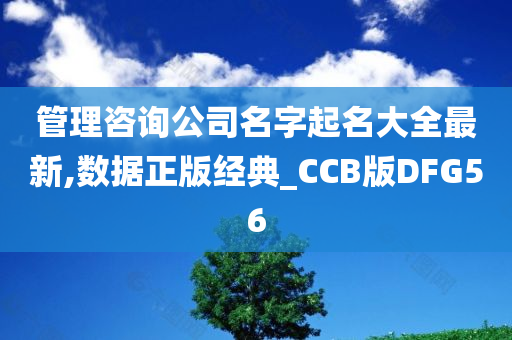 管理咨询公司名字起名大全最新,数据正版经典_CCB版DFG56