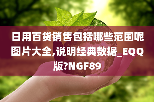 日用百货销售包括哪些范围呢图片大全,说明经典数据_EQQ版?NGF89