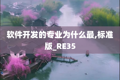 软件开发的专业为什么最,标准版_RE35