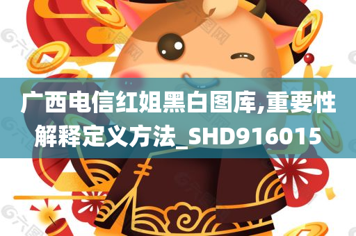 广西电信红姐黑白图库,重要性解释定义方法_SHD916015